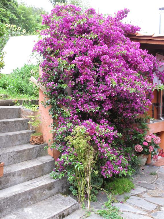 Casa Rural Enkartada Sopuerta Luaran gambar